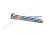 Screw