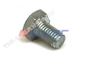 Screw