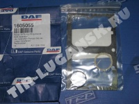 1605055 DAF