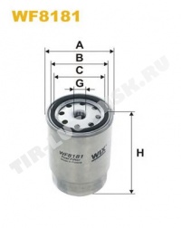 WF8181 WIX