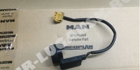81258056005 MAN