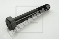 Болт амортизатора М24*3*120