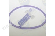 SEALING RING