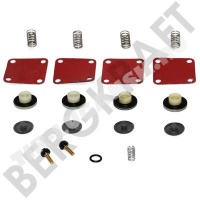 BK12431AAS Bergkraft