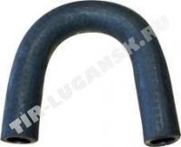 BK2955521SP Bergkraft