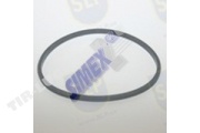 SEALING RING