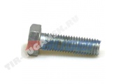 Screw