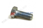 Screw