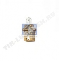 Socket bulb