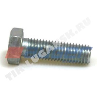 Screw