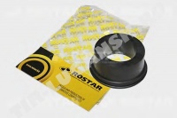 1803173331164 Rostar